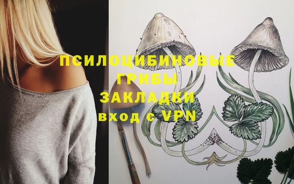 синтетический гашиш Белокуриха