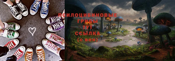 амф Белоозёрский