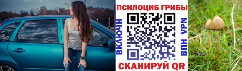 Галлюциногенные грибы Cubensis  Кстово 